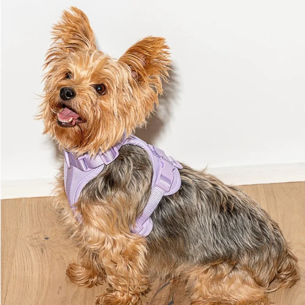 Wild One Dog Harness - Lilac - Size: XS
